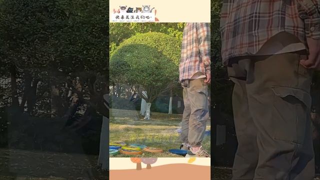 儿童安全软飞盘 смотреть онлайн