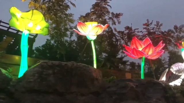 Wild Lights Asian Lantern Festival- Louisville Zoo 2020 смотреть онлайн