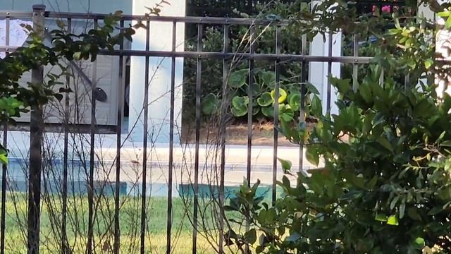 ПОСЛЕДНИЙ ДЕНЬ НА ОСТРОВЕ // ПЛЯЖ // ОБЗОР ДОМОВ НА ОСТРОВЕ // США смотреть онлайн