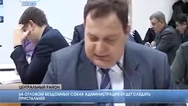 За отловом бродячих собак администрация будет следить пристальнее смотреть онлайн