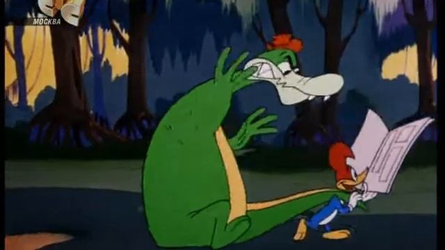 Дятел Вуди - Бизнес-тур на Эверглейдские острова 1958 (Семьдесят восьмая серия) смотреть онлайн
