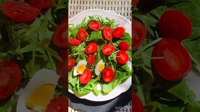 Салат з тунцом. смотреть онлайн