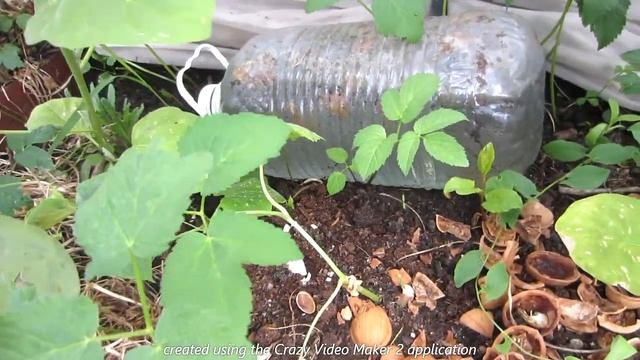 Обзор огорода 13.05.2022 смотреть онлайн