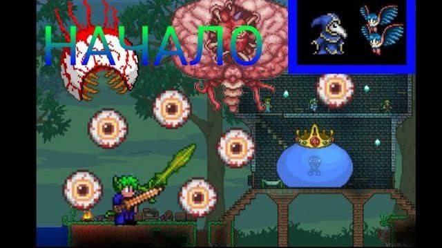 1 СЕРИЯ! УДАЧНОЕ НАЧАЛО +мультик! ВОИНСКАЯ ТЕРРАРИЯ ЭКСПЕРТА!