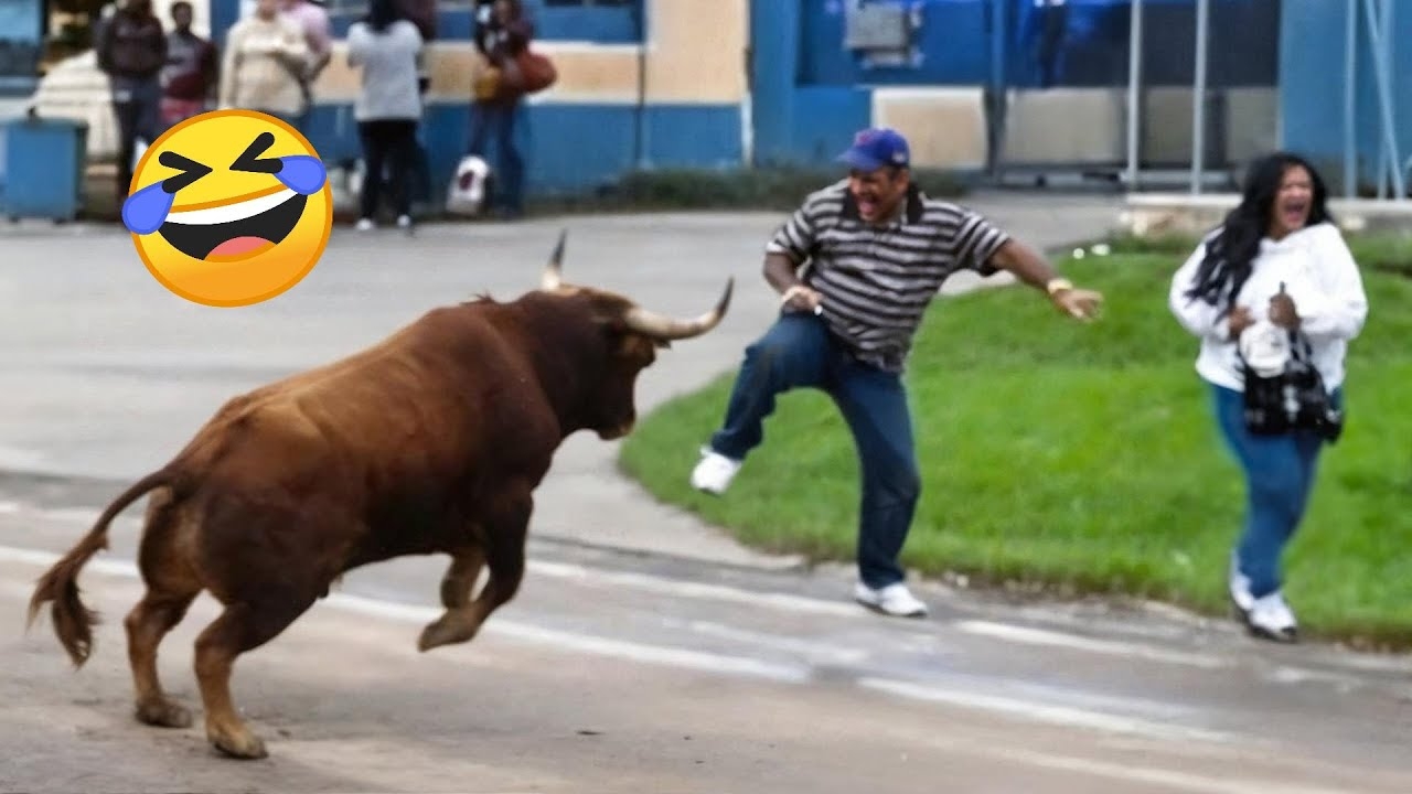 TRY NOT TO LAUGH 😆 Best Funny Videos Compilation 😂😁😆