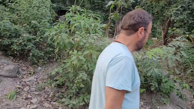 276. Снова в Ришикеше/Back to Rishikesh смотреть онлайн