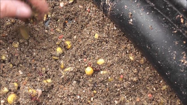 Закрытие фидерного сезона 2019 смотреть онлайн