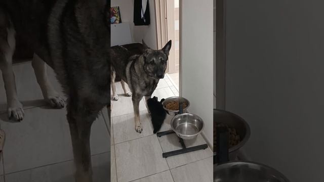 Дай тоже кусочек😂 смотреть онлайн