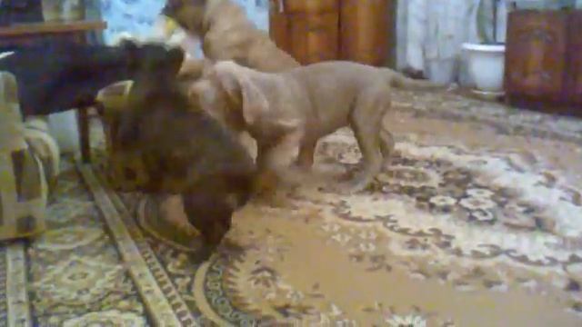 D:\Documents and Settings\admin\Рабочий стол\08012011033.mp4