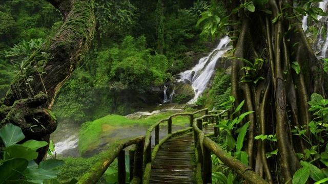 Organic House & Downtempo DJ Mix By TYZARO #EP 6