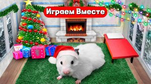 Новогодний лабиринт для умного хомяка 🎄🎄🎄 Помогаем вместе 🐹🐹🐹 Видео для детей 👍