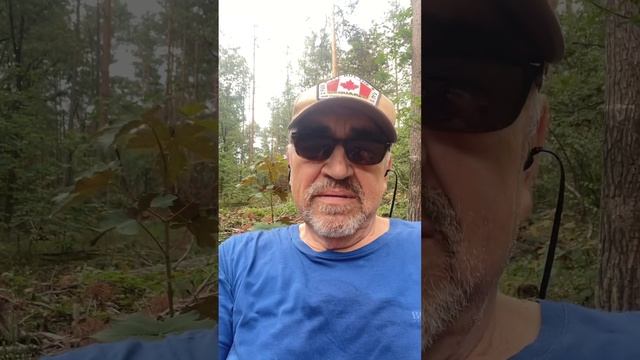 Если научить праведника грешить… смотреть онлайн