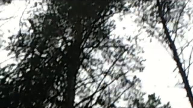 По белке октябрь смотреть онлайн