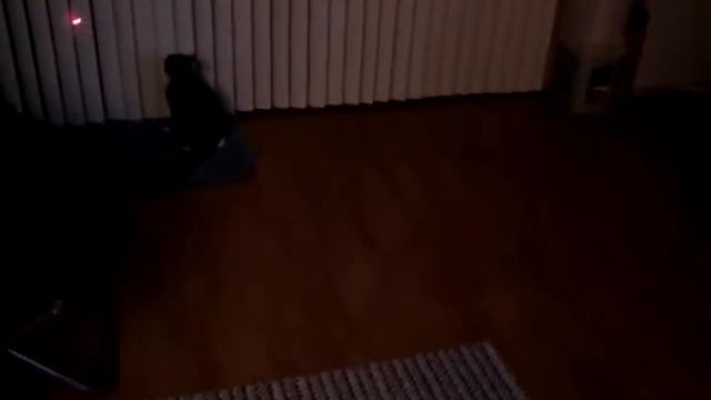 Лазерная игрушка для котов FroliCat Bolt смотреть онлайн