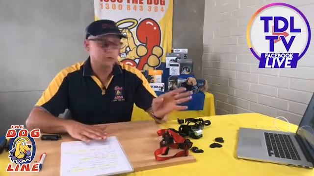 Bark Collars - Are Shock Collars Cruel? смотреть онлайн