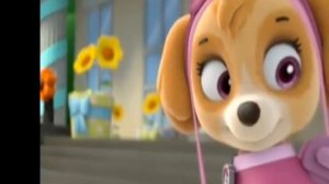 Маршал и Скай {Принцесса} (заказ)