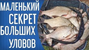 Простая и эффективная добавка в прикормку. Вываренная кукуруза. Каша для рыбалки