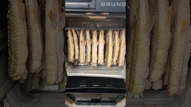 ГОТОВЛЮ ВКУСНЯШКУ // КОПЧУ РЫБКУ // США смотреть онлайн