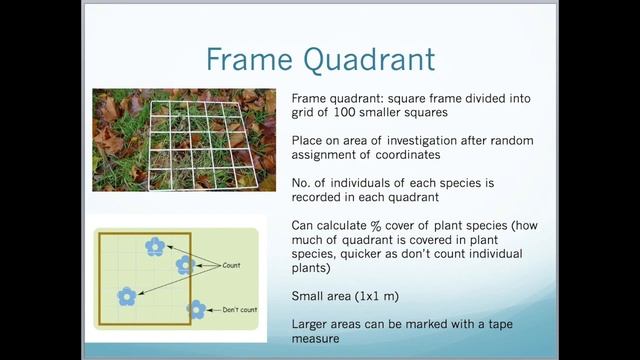 A2 Edexcel Biology Unit 4 - Ecology, Natural Selection, Evolution and Succession смотреть онлайн