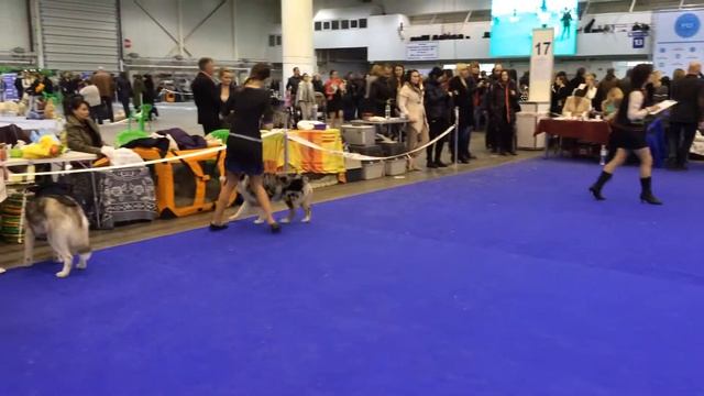 апрель 2015 смотреть онлайн