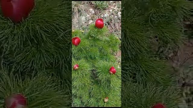 От Ангарского перевала к водопаду Джурла. 01.05.22. смотреть онлайн