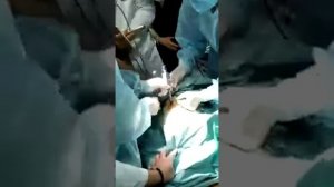 Операция на кролика