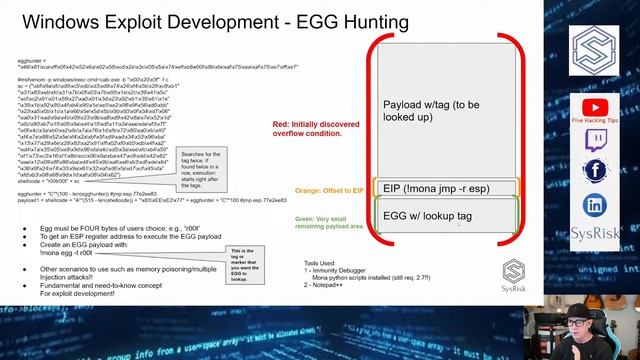 Windows Exploit Development - EGG Hunting смотреть онлайн