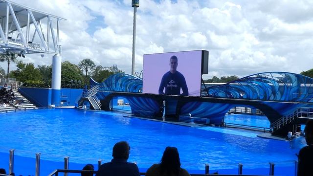 SeaWorld Orca Encounter Full Show Orlando Florida 8/5/22 смотреть онлайн