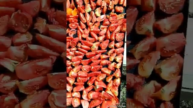 Сушим помидоры за пять дней, полезные заготовки на зиму!!! смотреть онлайн