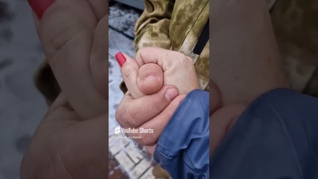 15 ноября 2024 года смотреть онлайн