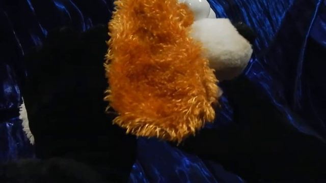 White-red Flipping Dog-gull,opening Its Mouth.In Statics And Work.Хохотун-перевертыш,открывающий ро