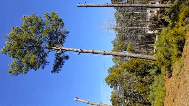 ДАЖЕ НЕ ПОМНЮ КОГДА ЭТО ВИДЕО ЗАПИСЫВАЛ // ТАК ВЫГЛЯДЕЛ НАШ ДВОР РАНЬШЕ ЛЕТ 9 НАЗАД // США смотреть онлайн