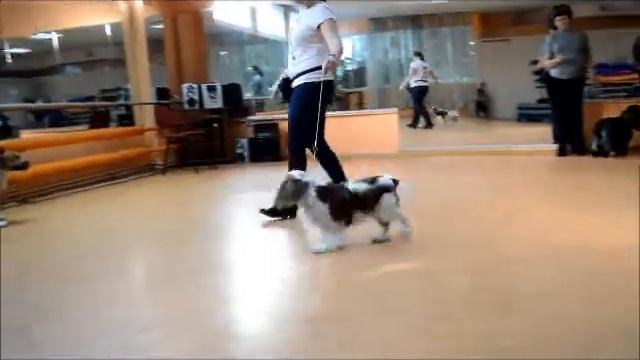 Умка, занятия, 16 02 2013 смотреть онлайн
