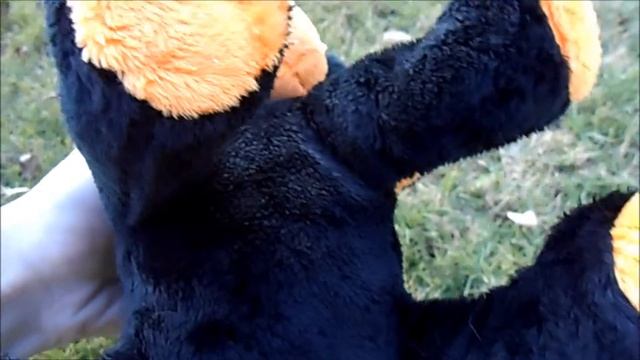 Reviewing the Webkinz Pumpkin Puppy смотреть онлайн