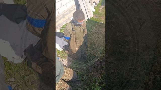 Приехали. Курская. смотреть онлайн