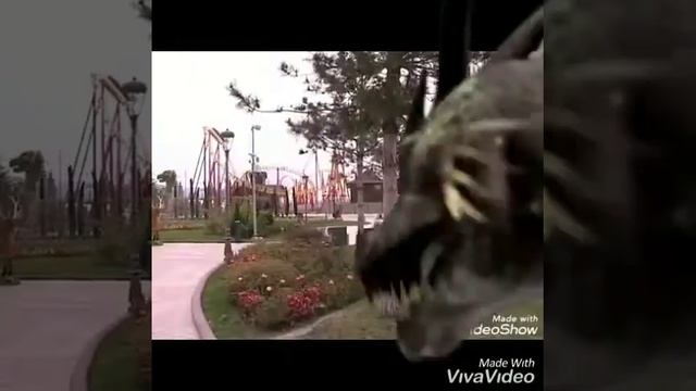 Путешествие в Сочи парк. смотреть онлайн