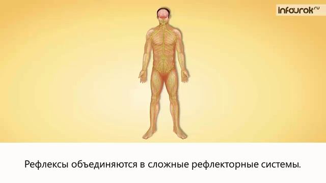 9. Регуляция процессов жизнедеятельности смотреть онлайн