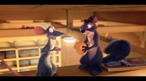 Реальная белка