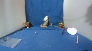 Узлы, удочки и оснастка.