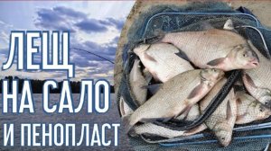 Фидер на сильном течении. Ловля ЛЕЩА на САЛО и ПЕНОПЛАСТ. Рыбалка 2022.