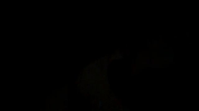 История про хомяков и вернова кота смотреть онлайн