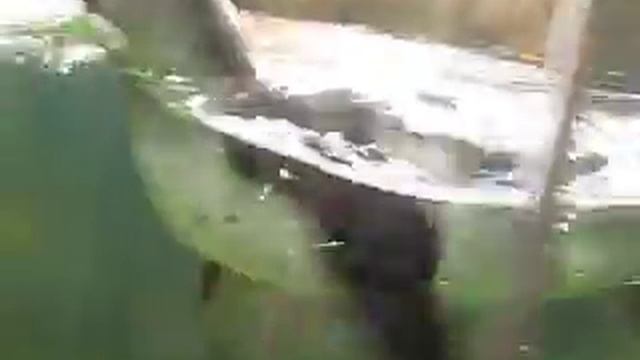 Летящий пингвин смотреть онлайн