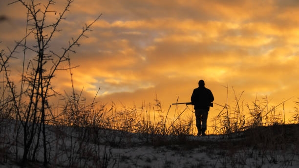 ОХОТА ЗА БАНДИТАМИ ! смотреть онлайн