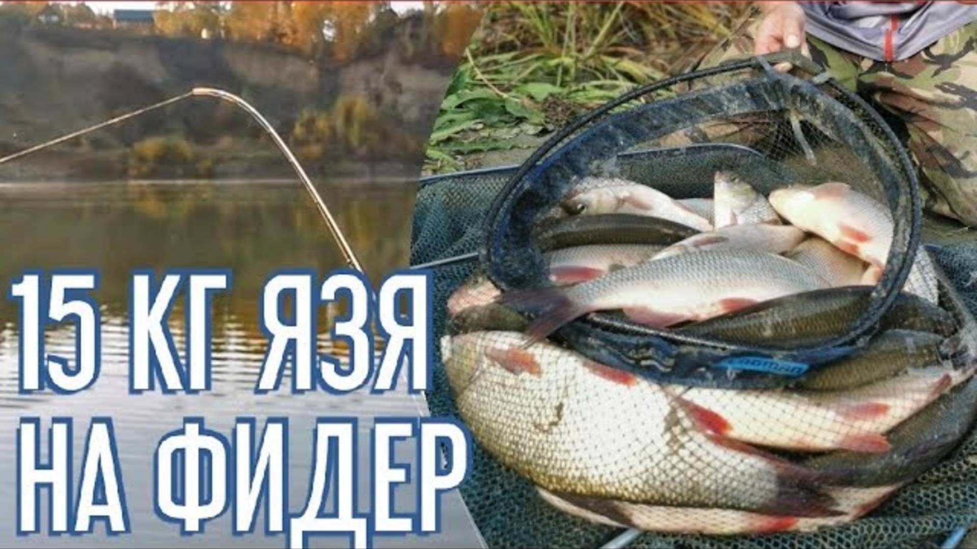 Фидер на сильном течении. Поклевки ЯЗЯ. Рыбалка 2022 смотреть онлайн