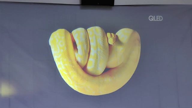 UB10 mini projector under lights test with Anti-Light Screen смотреть онлайн