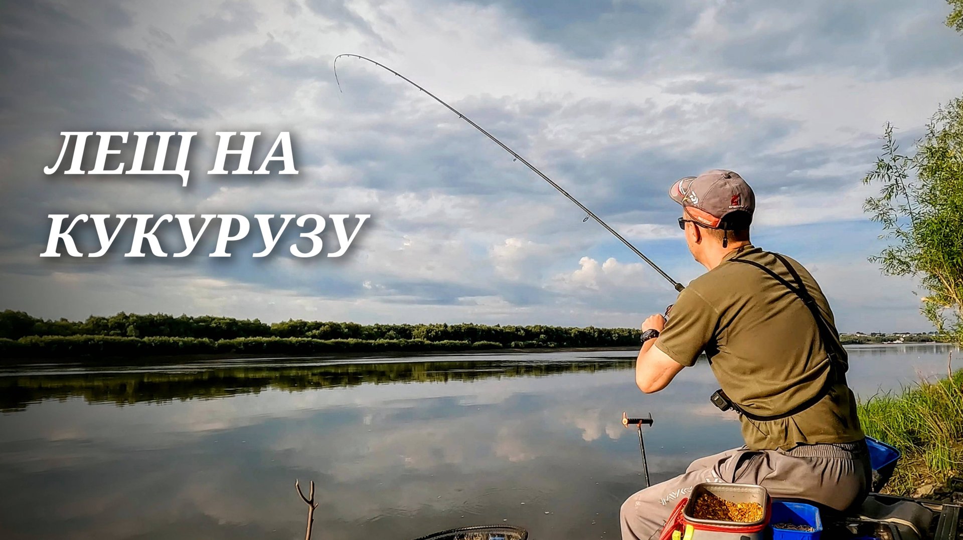 Ловля ЛЕЩа фидером на реке. Рыбалка 2024. ЛЕЩ на кукурузу. смотреть онлайн