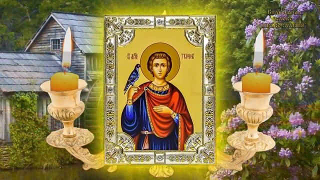 14 февраля Житие мученика Трифона аудиокнига с иконами смотреть онлайн