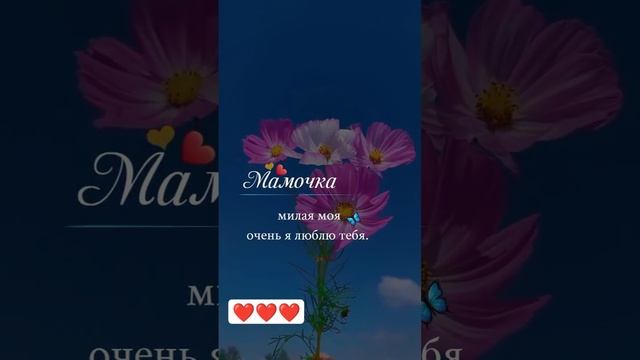 Мамочка 🌹 милая моя 💕 очень я люблю тебя ❤️ #мама #я #люблю #тебя #shortsvideo #mother #iloveyou ❤️ смотреть онлайн