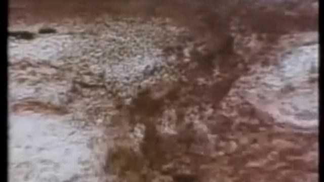 Анатомія. Кров смотреть онлайн