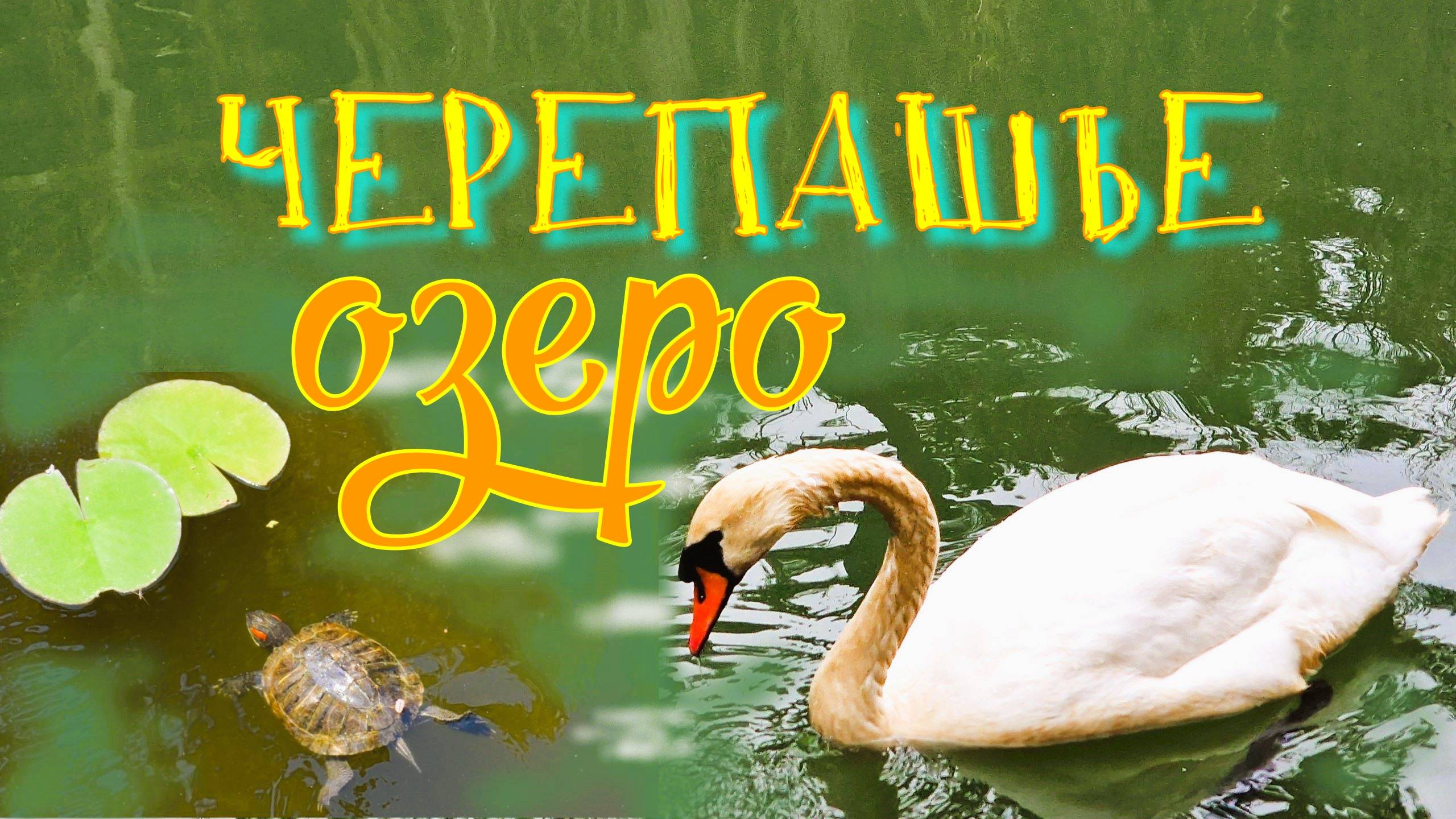 Черепашье озеро. Крым смотреть онлайн